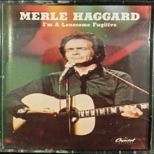 I'm a lonesome fugitive